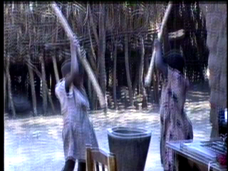 Children grinding maize in synchronized musical labor