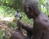 Rubber Toanaroi senior ritual specialist eats beetle nut