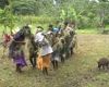 Children perform solomon dance